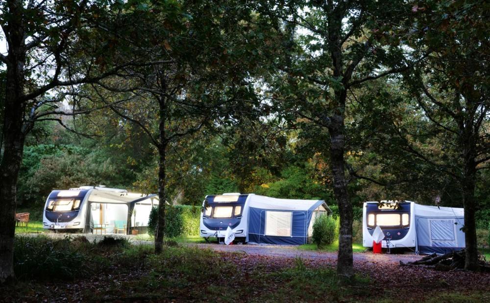 Pinetum Gardens Retreats Hotel St Austell Luaran gambar